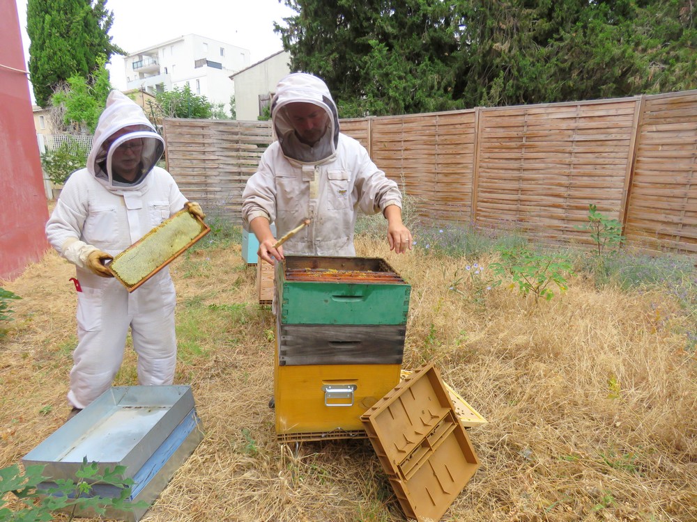 Matériel D'apiculture Miel Serti D'images Isolées D'abeilles